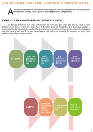 A INFLUÊNCIA DO CLIMA E DOS ORGANISMOS NA FORMAÇÃO DO SOLO



      A
             influencia do clima e dos organismos na formação do solo é causada por três fatores principais:
            intemperismo térmico, físico e químico causado pelo clima e organismos.



FATOR 1: CLIMA E O INTEMPERISMO TÉRMICO E FíSICO
       Os fatores climáticos que mais influenciam na formação dos solos são chuva, calor e vento
(intemperismo físico e térmico). Cada fator é benéfico para os horizontes B e C porque ajudam a
decomposição da rocha pela formação do horizonte A. Ao mesmo tempo o intemperismo físico da chuva pode
ser ruim para o horizonte A porque causa lavagem de nutrientes e perda de camadas do solo, como
explicados nas figuras aqui em baixo.




                           Causa lava-        Ocorre            O que              O que é
          Chuva            gem dos nu-
                           trientes do
                                              alteração
                                              na vida do
                                                                provoca a
                                                                acidificação
                                                                                   ruim para a
                                                                                   agricultura
                           solo               solo              do solo




                                             As reações
                                             de decompo-       O que diminui       O que é
                           Calor             sição no          a vida no           ruim para a
                                             solo são          solo                agricultura
                                             mais rápidas




                                                                                                               5
 