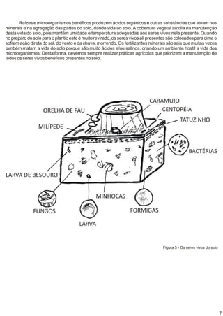 Raízes e microorganismos benéficos produzem ácidos orgânicos e outras substâncias que atuam nos
minerais e na agregação das partes do solo, dando vida ao solo. A cobertura vegetal auxilia na manutenção
desta vida do solo, pois mantém umidade e temperatura adequadas aos seres vivos nele presente. Quando
no preparo do solo para o plantio este é muito revirado, os seres vivos ali presentes são colocados para cima e
sofrem ação direta do sol, do vento e da chuva, morrendo. Os fertilizantes minerais são sais que muitas vezes
também matam a vida do solo porque são muito ácidos e/ou salinos, criando um ambiente hostil a vida dos
microorganismos. Desta forma, devemos sempre realizar práticas agrícolas que priorizem a manutenção de
todos os seres vivos benéficos presentes no solo.




                                                                       Figura 5 - Os seres vivos do solo




                                                                                    Figura 5 - Os seres vivos do solo




                                                                                                                        7
 