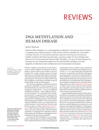 REVIEWS

                                   DNA METHYLATION AND
                                   HUMAN DISEASE
                                   Keith D. Robertson
                                   Abstract | DNA methylation is a crucial epigenetic modification of the genome that is involved
                                   in regulating many cellular processes. These include embryonic development, transcription,
                                   chromatin structure, X chromosome inactivation, genomic imprinting and chromosome
                                   stability. Consistent with these important roles, a growing number of human diseases have
                                   been found to be associated with aberrant DNA methylation. The study of these diseases has
                                   provided new and fundamental insights into the roles that DNA methylation and other
                                   epigenetic modifications have in development and normal cellular homeostasis.

CPG ISLAND                        With the completion of the Human Genome Project,             transposable elements (LINES), short interspersed
A genomic region of ~1 kb that    we have a nearly complete list of the genes needed to        transposable elements (SINES) and endogenous retro-
has a high G–C content, is rich   produce a human. However, the situation is far more          viruses)6. CPG ISLANDS, particularly those associated with
in CpG dinucleotides and is
                                  complex than a simple catalogue of genes. Of equal           promoters, are generally unmethylated, although an
usually hypomethylated.
                                  importance is a second system that cells use to determine    increasing number of exceptions are being identified7,8.
                                  when and where a particular gene will be expressed dur-      DNA methylation represses transcription directly, by
                                  ing development. This system is overlaid on DNA in the       inhibiting the binding of specific transcription factors,
                                  form of epigenetic marks that are heritable during cell      and indirectly, by recruiting methyl-CpG-binding pro-
                                  division but do not alter the DNA sequence.                  teins and their associated repressive chromatin remod-
                                      The only known epigenetic modification of DNA in         elling activities (see online supplementary information
                                  mammals is methylation of cytosine at position C5 in         S1 (table)). Little is known about how DNA methyla-
                                  CpG dinucleotides1. By contrast, the other main group        tion is targeted to specific regions; however, this prob-
                                  of epigenetic modifications — the post-translational         ably involves interactions between DNMTs and one or
                                  modification of histones — shows a high level of diver-      more chromatin-associated proteins3.
                                  sity and complexity2. The mammalian DNA methyla-                 Properly established and maintained DNA methyla-
                                  tion machinery is composed of two components, the            tion patterns are essential for mammalian development
                                  DNA methyltransferases (DNMTs), which establish and          and for the normal functioning of the adult organism.
                                  maintain DNA methylation patterns, and the methyl-           DNA methylation is a potent mechanism for silencing
                                  CpG binding proteins (MBDs), which are involved in           gene expression and maintaining genome stability in
                                  ‘reading’ methylation marks. An in-depth discussion          the face of a vast quantity of repetitive DNA, which can
                                  of these proteins is not provided here, but their main       otherwise mediate illegitimate recombination events
                                  features are given in online supplementary informa-          and cause transcriptional deregulation of nearby genes.
                                  tion S1 (table) (and were recently reviewed by REFS 3,4).    Embryonic stem cells that are deficient for DNMTs are
Department of Biochemistry
and Molecular Biology,            There is also clear evidence that a DNA demethylase          viable, but die when they are induced to differentiate9.
Shands Cancer Center,             contributes to regulating DNA methylation patterns           Mouse knockout studies have shown that Dnmt1 and
University of Florida,            during embryonic development, although the activity          Dnmt3b are essential for embryonic development
Box 100245, 1600 S.W.             responsible for this has not been identified5.               and that mice that lack Dnmt3a die within a few
Archer Road, Gainesville,
Florida 32610, USA.                   In normal cells, DNA methylation occurs predomi-         weeks of birth10,11. In addition, loss of normal DNA
e-mail: keithr@ufl.edu            nantly in repetitive genomic regions, including satellite    methylation patterns in somatic cells results in loss of
doi:10.1038/nrg1655               DNA and parasitic elements (such as long interspersed        growth control.


NATURE REVIEWS | GENETICS                                                                                              VOLUME 6 | AUGUST 2005 | 597
                                                              © 2005 Nature Publishing Group
 