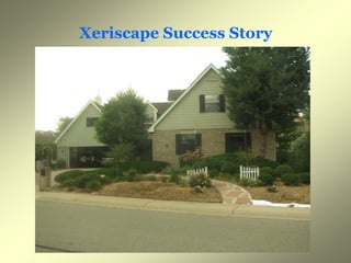 Xeriscape Success Story
 