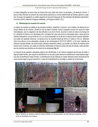 Caracterización de Flora y Fauna Silvestre para el Proyecto Fotovoltaico NACAOME I – Pacific Solar
Pacific Solar Energy S.A. de C.V., Nacaome, Valle; Honduras
Evaluación Ecología Rápida (EER) 12
el criterio fisiográfico se tomó el tipo de Suelo entre otros datos del mismo, la pendiente, y la elevación (msnm). Y
para el criterio florístico se tomaron las zonas donde predomina un número determinado de familias, géneros o espe-
cies. El mapeo de vegetación se realizó siguiendo la Guía de Evaluación de Flora Silvestre del Ministerio del Ambien-
te de Perú (2010), utilizando imágenes satelitales, y el Programa QGIS 2.12.0.
b) Metodología de muestreo de insectos
La captura de insectos se realizó en las jornadas matutina, vespertina y nocturna, con el objetivo de abarcar los di-
versos hábitos de los insectos. Durante el día se realizó muestreo visual y búsqueda manual con ayuda de redes
entomológicas, pero la vegetación del área dificultó el uso de la misma. Durante la noche se colocó una trampa de
luz, utilizando luz blanca y luz ultravioleta (UV), la longitud de onda corta de la luz ultravioleta atrae a varios tipos de
insectos fotopositivos, ya que emite luz UV a un nivel comparable con el del sol; la mayoría de los insectos fotopositi-
vos suelen ser especies nocturnas. La trampa de luz se encendió desde las 9:00 p.m. hasta la 1:00 a.m. alternado
entre la luz blanca y la luz ultravioleta, ubicada en las coordenadas E 441013 N 1495471, a 42 msnm. Además, se
colocaron trampas aéreas y de caída (suelo) utilizando atrayentes (cebos), que ayudan a la colecta de insectos tanto
diurnos como nocturnos, las cuales se colocaron distribuidas en diversos puntos del área de estudio; estas permiten
que los insectos sean atraídos por los olores de los atrayentes (fig. 5).
La mayoría de las especies colectadas pudieron ser identificadas in situ hasta la categoría taxonómica de Orden y
algunas hasta Familia, pero requirió la identificación ex situ para poder alcanzar la identificación hasta Especie (algu-
nas solo se identificaron hasta Familia). La identificación de las especies se realizó utilizando claves taxonómicas de
varios autores según el grupo taxonómico. Luego de la identificación se investigó su estado de conservación.
Fig. 5.- Monitoreo de insectos a través de colecta indirecta, con trampas áreas y de caída utilizando atrayentes, y tram-
pa de luz ultravioleta y de luz blanca.
 