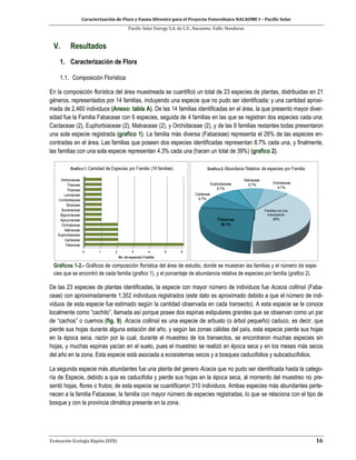 Caracterización de Flora y Fauna Silvestre para el Proyecto Fotovoltaico NACAOME I – Pacific Solar
Pacific Solar Energy S.A. de C.V., Nacaome, Valle; Honduras
Evaluación Ecología Rápida (EER) 16
V. Resultados
1. Caracterización de Flora
1.1. Composición Florística
En la composición florística del área muestreada se cuantificó un total de 23 especies de plantas, distribuidas en 21
géneros, representados por 14 familias, incluyendo una especie que no pudo ser identificada; y una cantidad aproxi-
mada de 2,460 individuos (Anexo: tabla A). De las 14 familias identificadas en el área, la que presento mayor diver-
sidad fue la Familia Fabaceae con 6 especies, seguida de 4 familias en las que se registran dos especies cada una:
Cactaceae (2), Euphorbiaceae (2), Malvaceae (2), y Orchidaceae (2), y de las 9 familias restantes todas presentaron
una sola especie registrada (grafico 1). La familia más diversa (Fabaceae) representa el 26% de las especies en-
contradas en el área. Las familias que poseen dos especies identificadas representan 8.7% cada una, y finalmente,
las familias con una sola especie representan 4.3% cada una (hacen un total de 39%) (grafico 2).
Gráficos 1-2.- Gráficos de composición florística del área de estudio, donde se muestran las familias y el número de espe-
cies que se encontró de cada familia (grafico 1), y el porcentaje de abundancia relativa de especies por familia (grafico 2).
De las 23 especies de plantas identificadas, la especie con mayor número de individuos fue Acacia collinsii (Faba-
ceae) con aproximadamente 1,352 individuos registrados (este dato es aproximado debido a que el número de indi-
viduos de esta especie fue estimado según la cantidad observada en cada transecto). A esta especie se le conoce
localmente como “cachito”, llamada así porque posee dos espinas estipulares grandes que se observan como un par
de “cachos” o cuernos (fig. 9). Acacia collinsii es una especie de arbusto (o árbol pequeño) caduco, es decir, que
pierde sus hojas durante alguna estación del año, y según las zonas cálidas del país, esta especie pierde sus hojas
en la época seca, razón por la cual, durante el muestreo de los transectos, se encontraron muchas especies sin
hojas, y muchas espinas yacían en el suelo, pues el muestreo se realizó en época seca y en los meses más secos
del año en la zona. Esta especie está asociada a ecosistemas secos y a bosques caducifolios y subcaducifolios.
La segunda especie más abundantes fue una planta del genero Acacia que no pudo ser identificada hasta la catego-
ría de Especie, debido a que es caducifolia y pierde sus hojas en la época seca, al momento del muestreo no pre-
sentó hojas, flores o frutos; de esta especie se cuantificaron 310 individuos. Ambas especies más abundantes perte-
necen a la familia Fabaceae, la familia con mayor número de especies registradas, lo que se relaciona con el tipo de
bosque y con la provincia climática presente en la zona.
 