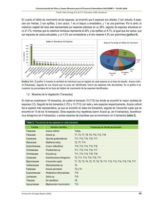 Caracterización de Flora y Fauna Silvestre para el Proyecto Fotovoltaico NACAOME I – Pacific Solar
Pacific Solar Energy S.A. de C.V., Nacaome, Valle; Honduras
Evaluación Ecología Rápida (EER) 18
En cuanto al hábito de crecimiento de las especies, se encontró que 6 especies son árboles, 5 son arbusto, 6 espe-
cies son hierbas, 2 son epífitas, 2 son cactus, 1 es un bejuco o enredadera, y 1 es una gramínea. Por lo tanto, la
cobertura vegetal del área está representada por especies arbóreas en un 26%, seguida de especies arbustivas en
un 21.7%; mientras que la cobertura herbácea representa el 26% y las epifitas un 8.7%, al igual que los cactus, que
son especies de cactus arbustales, y un 4.3% son enredaderas y el otro restante 4.3% son gramíneas (grafico 4).
Grafico 3-4.- El grafico 3 muestra la cantidad de individuos que se registró de cada especie en el área de estudio. Acacia collin-
sii (Fabaceae), seguida de una Acacia que no pudo ser identificada, fueron las especies más abundantes. En el grafico 4 se
muestran los porcentajes de los tipos de hábitos de crecimiento de las especies identificadas.
1.2. Muestreo de la Vegetación (Transectos)
En total se muestrearon 18 transectos, de cuales el transecto 15 (T15) fue donde se encontró la mayor cantidad de
especies (12). Seguido de los transectos 2 (T2) y 13 (T13) con siete y seis especies respectivamente. Acacia collinsii
fue la especie más representativa, ya que se encontró en todos los transectos, seguida de Crescentia cujete que se
encontró en 15 de los 18 transectos. Otras especies muy repetitivas fueron Acacia sp. (en 8 transectos), Acanthoce-
reus tetragonus (en 6 transectos), y ambas especies de orquídeas que se encontraron en 5 transectos (tabla 2).
Tabla 2.- Frecuencia de las especies en cada transecto.
Familia Nombre científico Transectos en donde se encontró
Fabaceae Acacia collinsii Todos
Fabaceae Acacia sp. T1, T3, T7, T8, T9, T10, T13, T18
Cactaceae Opuntia guatemalensis T11, T13, T15, T16, T17
Malvaceae Waltheria indica T2, T7, T14
Euphorbiaceae Croton reflexifolius T10, T12, T14, T15, T18
Orchidaceae Prosthechea sp. T11, T13, T14, T16, T17
Orchidaceae Encyclia sp. T11, T13, T14, T16, T18
Cactaceae Acanthocereus tetragonus T2, T11, T13, T15, T16, T17
Bignoniaceae Crescentia cujete T1, T2, T3, T4, T5, T7, T8, T9, T11, T12, T13, T14, T15, T16, T17
Verbenaceae Stachytarpheta sp. T4
Fabaceae Acacia pennatula T2 y T4
Euphorbiaceae Pedilanthus tithymaloides T15
Lamiaceae Salvia sp. T15
Tiliaceae Sin identificar T8
Apocynaceae Blepharodon mucronatum T12
 