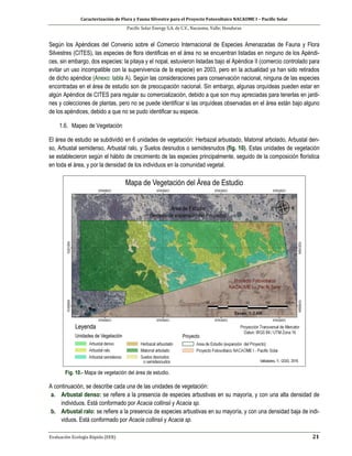 Caracterización de Flora y Fauna Silvestre para el Proyecto Fotovoltaico NACAOME I – Pacific Solar
Pacific Solar Energy S.A. de C.V., Nacaome, Valle; Honduras
Evaluación Ecología Rápida (EER) 21
Según los Apéndices del Convenio sobre el Comercio Internacional de Especies Amenazadas de Fauna y Flora
Silvestres (CITES), las especies de flora identificas en el área no se encuentran listadas en ninguno de los Apéndi-
ces, sin embargo, dos especies: la pitaya y el nopal, estuvieron listadas bajo el Apéndice II (comercio controlado para
evitar un uso incompatible con la supervivencia de la especie) en 2003, pero en la actualidad ya han sido retirados
de dicho apéndice (Anexo: tabla A). Según las consideraciones para conservación nacional, ninguna de las especies
encontradas en el área de estudio son de preocupación nacional. Sin embargo, algunas orquídeas pueden estar en
algún Apéndice de CITES para regular su comercialización, debido a que son muy apreciadas para tenerlas en jardi-
nes y colecciones de plantas, pero no se puede identificar si las orquídeas observadas en el área están bajo alguno
de los apéndices, debido a que no se pudo identificar su especie.
1.6. Mapeo de Vegetación
El área de estudio se subdividió en 6 unidades de vegetación: Herbazal arbustado, Matorral arbolado, Arbustal den-
so, Arbustal semidenso, Arbustal ralo, y Suelos desnudos o semidesnudos (fig. 10). Estas unidades de vegetación
se establecieron según el hábito de crecimiento de las especies principalmente, seguido de la composición florística
en toda el área, y por la densidad de los individuos en la comunidad vegetal.
Fig. 10.- Mapa de vegetación del área de estudio.
A continuación, se describe cada una de las unidades de vegetación:
a. Arbustal denso: se refiere a la presencia de especies arbustivas en su mayoría, y con una alta densidad de
individuos. Está conformado por Acacia collinsii y Acacia sp.
b. Arbustal ralo: se refiere a la presencia de especies arbustivas en su mayoría, y con una densidad baja de indi-
viduos. Está conformado por Acacia collinsii y Acacia sp.
 