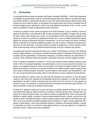 Caracterización de Flora y Fauna Silvestre para el Proyecto Fotovoltaico NACAOME I – Pacific Solar
Pacific Solar Energy S.A. de C.V., Nacaome, Valle; Honduras
Evaluación Ecología Rápida (EER) 29
VI. Conclusiones
La comunidad florística del terreno de expansión del Proyecto Fotovoltaico NACAOME I – Pacific Solar predestinado
a la instalación de paneles solares, presenta una diversidad especies (flora) baja, debido a la naturaleza del bosque,
como factores climáticos y características del suelo, así como a las intervenciones humanas; además también influye
la época en la que se realizó el estudio, ya que algunas de las especies típicas de la zona se encontraban fuera de
las fases fenológicas para la identificación, es decir, muy pocas especies se encontraron en flor o en fruto. La zona
posee una vegetación en estado de regeneración (sucesión secundaria).
La familia que presenta el mayor número de especies fue la Familia Fabaceae, ya que se identificó un total de 6
especies de esta familia, lo que representa el 26% de todas las especies encontradas. La especie más abundante
fue Acacia collinsii, mejor conocida como “cachito”, la cual representa el 54.9% de las especies registradas. Esta
especie es un arbusto muy común en la vegetación del bosque seco y que es un hábitat importante para algunas
especies de hormigas (principalmente del genero Pseudomyrmex, con las que comparte una relación simbiótica).
Además, la abundancia de la especie posiblemente se deba a que esta es pionera e indicadora de bosques secun-
darios que han sido intervenidos, o que están sufriendo un proceso de regeneración, y el área muestrea es clara-
mente un área intervenida, tanto por la influencia directa del Proyecto, como por su utilización para pastoreo.
Las especies que componen la estructura del bosque son A. collinsii (1,352 individuos) y Acacia sp. (310 individuos)
ambas de hábitos arbustivos, con asociación de árboles (Crescentia cujetes), el sotobosque está dominado por las
suculentas (Opuntia guatemalensis y Acanthocereus tetragonus), por especies herbáceas como Blepharodon mu-
cronatum y Croton reflexifolius (hierba más abundante), y gramíneas en las zonas con menos vegetación arbustiva.
De los 18 transectos muestreadas, el transecto 15 (T15) es el que presento la mayor cantidad de especies (conte-
niendo el 55% de las especies registradas), esto podría deberse a que es el que se encuentra más cercano a la
laguna y a las vaguadas efímeras de invierno que está dentro de los límites de influencia indirecta del Proyecto.
Además, este transecto se encuentra en la zona que se identificó como “Matorral arbolado” según el mapeo de vege-
tación, donde se indica la asociación de arbustos con pocos árboles de varias especies, pero principalmente C. cuje-
tes, y con una gran abundancia de orquídeas, siendo la zona más densa en cuanto a vegetación de hojas perennes.
Aunque dos especies (A. collinsii y Acacia sp.) fueron las más frecuentes en los transectos, el índice de equidad,
muestra un valor medio (0.54), indicando una homogeneidad media entre la vegetación, y no total como se observa
aparentemente. Se aplicó un índice de dominancia que solo ratifica el hecho de que hay una o dos especies que
dominan en cuanto a su abundancia, en detrimento del resto de las especies que presentaron pocos individuos. Y el
índice de diversidad, muestra que la diversidad del área es baja.
El mapeo de la vegetación muestra que la mayoría del bosque es arbustal caducifolio semidenso a ralo, con una
zona relativamente amplia (en relación al terreno) que presenta un arbustal caducifolo denso, dominada casi en su
mayoría por el arbusto de genero Acacia, que durante el muestreo no presentaba flores, frutos u hojas para poder
identificar su especie. Además, se observa un área de matorral arbolado (arbustos + arboles), zona que fue la más
variada en cuando a diversidad de especies, y donde se pudieron observar varios hábitos de crecimiento de la vege-
tación, como ser la abundancia de epifitas (orquídeas) sobre los arboles de C. cujetes, una gran regeneración de la
especie O. guatemalensis, y varios cactus arbustales del genero A. tetragonus, entre algunas herbáceas, y siempre
en combinación con “cachito”. Se muestra en el mapa algunos parches con muy poca vegetación, por lo general de
gramíneas o hiervas, y algunas otras zonas sin vegetación.
 