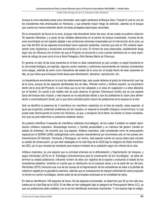 Caracterización de Flora y Fauna Silvestre para el Proyecto Fotovoltaico NACAOME I – Pacific Solar
Pacific Solar Energy S.A. de C.V., Nacaome, Valle; Honduras
Evaluación Ecología Rápida (EER) 30
Aunque la zona estudiada posee poca diversidad, esta región pertenece al Bosque Seco Tropical el cual es uno de
los ecosistemas más amenazados en Honduras, y que presenta mayor riesgo de extinción, además es el bosque
que cuenta con menos extensión dentro de áreas protegidas bajos leyes nacionales.
De la composición de fauna en la zona, el grupo más abundante fueron las aves, de las cuales se pudieron observar
38 especies diferentes, y a pesar de las notables alteraciones en el parche de bosque muestreado, muchas de las
aves encontradas se han logrado adaptar a las condiciones adversas ocasionadas por la intervención de la zona, ya
que más del 90% de las especies encontradas fueron especies residentes, mientras que solo el 10% restante repre-
sentan aves migratorias y transeúntes encontradas en la zona. El número de aves observadas, posiblemente tenga
algún tipo de influencia con el hecho de que el Proyecto se encuentra a unos cuantos kilómetros de un área impor-
tante de refugio de aves como lo es el Área Protegida y Sitio Ramsar Bahía de Chismuyo.
En general, el valor de las aves presentes en el área no debe subestimarse ya que cumplen un papel importante en
la comunidad biológica, por ejemplo, algunos comen roedores y volúmenes sorprendentes de insectos considerados
como plagas, además de servir como indicadores del estado de la zona con el simple hecho de estar presentes en
ella, ya que indica que el bosque brinda áreas para alimentación, descanso, reproducción, etc.
La herpetofauna encontrada en la zona fue relativamente baja, esto puede deberse al grado de intervención que hay
de la zona, aunque de las especies identificadas dos de ellas, Rhinella marina y Smilisca baudinii, se encontraron
dentro de la zona del Proyecto, lo cual indica que ya se han adaptado a un área sin vegetación o a sitios alterados
por el hombre. En cuanto a los reptiles solo se pudo observar el garrobo (Ctenosaura similis) que es una especie
típica del bosque seco tropical, y esta especie se ve perjudicada debido a que los pobladores la cazan para alimen-
tación o comercialización (local), por lo que dicha actividad podría reducir las poblaciones de la especie en el sitio.
Solo se identificó la presencia de 3 mamíferos (no mamíferos voladores) en el área de estudio, estas especies, al
igual que el garrobo, presentan problemas por ser cazados, en especial el armadillo (Dasypus novemcinctus), lo cual
puede estar disminuyendo el número de individuos, ya que, a excepción de la liebre, los demás no fueron avistados,
sino que se pudo determinar su presencia mediante rastros.
Se pudieron identificar 9 especies de mamíferos voladores (murciélagos), de los cuales 3 estaban en estado repro-
ductivo (Artibeus inopinatus, Glossophaga soricina, y Carollia perspicillata) y un individuo del género Carollia en
estado de embarazo. Se encontró que una especie, Artibeus inopinatus, está considerada como de preocupación
especial por la SERNA (2008) catalogándola como especie mesoendémica por encontrarse solo en tres países cen-
troamericanos (El Salvador, Honduras y Nicaragua), así mismo, esta especie cuenta con pocos datos para conocer
su estado de conservación, ya que está catalogada en la Lista Roja de la UICN bajo la categoría de Datos Insuficien-
tes (DD), por lo que necesita ser estudiada para evaluar el estado de su población según los criterios de la Lista.
Artibeus inopinatus, es una especie que su principal amenaza es la deforestación y fragmentación de bosques, y
según Hernández (2015) en la “Estrategia centroamericana para la conservación de los murciélagos”, se debe de-
terminar su estado poblacional, indicando número de sitios con registros de la especie y evaluando el estado de los
ecosistemas aledaños, tomando en cuenta que su distribución es en bosques secos y en la parte del sur del país.
Hernández (2015) menciona que una de las causas de la fragmentación de los ecosistemas se debe a la pérdida de
cobertura vegetal por la ganadería extensiva, además que en evaluaciones de impacto ambiental de varios proyectos
no toman en cuenta murciélagos, siendo estas de las principales amenazas en la mortalidad de estos.
En total se identificaron 108 especies de fauna. De las especies encontradas, se determinó que 54 ya han sido eva-
luadas por la Lista Roja de la UICN, 53 de ellas se han catalogado bajo la categoría de Preocupación Menor (LC), ya
que sus poblaciones están estables y se no se han identificado amenazas importantes. Y una especie bajo la catego-
 