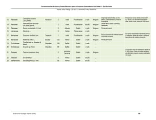 Caracterización de Flora y Fauna Silvestre para el Proyecto Fotovoltaico NACAOME I – Pacific Solar
Pacific Solar Energy S.A. de C.V., Nacaome, Valle; Honduras
Evaluación Ecología Rápida (EER) 38
13 Fabaceae
Caesalpinia coriaria
(Jacq.)Willd.
Nacazcol 2 Árbol Fructificación in situ Ninguno
Originaria de las Antillas, sur de
México, Centroamérica y norte de
Suramérica.
Prospera en zonas cálidas (más de 30°
C), secas y con abundante exposición
solar, cerca al mar, menos de 250 msnm.
14 Fabaceae
Pithecellobium lanceola-
tum (Willd.)Benth.
2 Árbol Fructificación ex situ Ninguno
Desde México hasta Colombia y
Venezuela.
15 Fabaceae Senna occidentalis (L.) Link 3 Arbusto Estéril in situ Ninguno Planta pantropical
16 Lamiaceae Salvia sp. L. 5 Hierba Flores secas in situ _
17 Malvaceae Guazuma ulmifolia Lam. Tapaculo 1 Árbol Fructificación in situ Ninguno
Es muy común en la América tropical
continental e insular.
Es común encontrarla en terrenos yermos
y cultivados, faldas de colinas y bosques
secundarios de mediana elevación.
18 Malvaceae Waltheria indica L. Escoba 123 Hierba Estéril in situ Ninguno Planta pantropical
19 Orchidaceae
Prosthechea sp. Knowles &
Westc.
Orquídea 104 Epifita Estéril in situ _
20 Orchidaceae Encyclia sp. Hook. Orquídea 89 Epifita Estéril in situ _
21 Poaceae Panicum maximum Jacq. 2
gramínea
perenne
Estéril in situ Ninguno
Con amplio rango de adaptación desde de
0-1800 msnm, crece en suelos de baja y
alta fertilidad y soporta niveles moderados
de sequía.
22 Tiliaceae Sin identificar 5 Hierba Estéril ex situ _
23 Verbenaceae Stachytarpheta sp. Vahl. 50 Hierba Estéril ex situ _
 