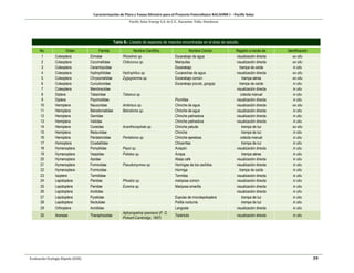 Caracterización de Flora y Fauna Silvestre para el Proyecto Fotovoltaico NACAOME I – Pacific Solar
Pacific Solar Energy S.A. de C.V., Nacaome, Valle; Honduras
Evaluación Ecología Rápida (EER) 39
Tabla B.- Listado de especies de insectos encontradas en el área de estudio.
No. Orden Familia Nombre Científico Nombre Común Registro a través de: Identificación
1 Coleoptera Elmidae Rhizelmis sp. Escarabajo de agua visualización directa ex situ
2 Coleoptera Coccinellidae Chilocorus sp. Mariquitas visualización directa ex situ
3 Coleoptera Cerambycidae Escarabajo trampa de caída in situ
4 Coleoptera Hydrophilidae Hydrophilus sp. Cucarachas de agua visualización directa ex situ
5 Coleoptera Chrysomelidae Zygogramma sp. Escarabajo común trampa aérea ex situ
6 Coleoptera Curculionidae Escarabajo picudo, gorgojo trampa de caída in situ
7 Coleoptera Membracidae visualización directa in situ
8 Diptera Tabanidae Tabanus sp. colecta manual in situ
9 Diptera Psychodidae Plumillas visualización directa in situ
10 Hemiptera Naucoridae Ambrisus sp. Chinche de agua visualización directa ex situ
11 Hemiptera Belostomatidae Belostoma sp. Chinche de agua visualización directa in situ
12 Hemiptera Gerridae Chinche patinadora visualización directa in situ
13 Hemiptera Veliidae Chinche patinadora visualización directa in situ
14 Hemiptera Coreidae Acanthocephala sp. Chinche patuda trampa de luz ex situ
15 Hemiptera Reduviidae Chinche trampa de luz in situ
16 Hemiptera Pentatomidae Pentatoma sp. Chinche apestosa colecta manual in situ
17 Homoptera Cicadellidae Chicarritas trampa de luz in situ
18 Hymenoptera Pompilidae Pepsi sp. Avispón visualización directa in situ
19 Hymenoptera Vespidae Polistes sp. Avispa trampa aérea in situ
20 Hymenoptera Apidae Abeja café visualización directa in situ
21 Hymenoptera Formicidae Pseudomyrmex sp. Hormigas de los cachitos visualización directa in situ
22 Hymenoptera Formicidae Hormiga trampa de caída in situ
23 Isoptera Termitidae Termitas visualización directa in situ
24 Lepidoptera Pieridae Phoebis sp. mariposa común visualización directa in situ
25 Lepidoptera Pieridae Eurema sp. Mariposa amarilla visualización directa in situ
26 Lepidoptera Arctiidae visualización directa in situ
27 Lepidoptera Pyralidae Espcies de microlepidoptera trampa de luz in situ
28 Lepidoptera Noctuidae Polilla nocturna trampa de luz in situ
29 Orthoptera Acrididae Langosta visualización directa in situ
30 Araneae Theraphosidae
Aphonopelma seemanni (F. O.
Pickard-Cambridge, 1897)
Tarántula visualización directa in situ
 