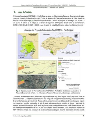 Caracterización de Flora y Fauna Silvestre para el Proyecto Fotovoltaico NACAOME I – Pacific Solar
Pacific Solar Energy S.A. de C.V., Nacaome, Valle; Honduras
Evaluación Ecología Rápida (EER) 7
III. Área de Trabajo
El Proyecto Fotovoltaico NACAOME I – Pacific Solar, se ubica en el Municipio de Nacaome, Departamento de Valle,
Honduras; a unos 8.42 kilómetros (km) de la Ciudad de Nacaome, la Cabecera Departamental de Valle, ubicada en
dirección Este al Proyecto (fig. 2). La comunidad más cercana a la zona del Proyecto es la de Agua Fría, a unos 1.5
km. El área de estudio (o de trabajo) es un terreno de expansión del Proyecto, ubicado entre las coordenadas E
440783 N 1495469 y E 441289 N 1495636, a una elevación de entre 34 y 49 metros sobre el nivel del mar (msnm).
Fig. 2.- Mapa de ubicación del Proyecto Fotovoltaico NACAOME I – Pacific Solar. Mostrándose su ubicación en el
País, en el Departamento de Valle, y en el Municipio de Nacaome. Además, se muestra la imagen satelital del área.
La totalidad del área se encuentra dentro de la región de Bosque muy Seco Tropical (bms-T) según las Zonas de
Vida de Holdridge. La cobertura vegetal del área está compuesta principalmente de árboles y arbustos caducifolios
de la Familia Fabaceae (principalmente Acacia collinsii), en combinación con árboles de Crescentia cujete, especie
muy resistente a períodos prolongados de falta de agua; además de algunas especies de hiervas y gramíneas de
sucesión secundaria de bosques secos. En la región del Proyecto se presenta un clima cálido durante todo el año,
con una temperatura media anual de 29.4 ºC, con una humedad relativa de 66-68%, y una precipitación promedio de
1,570 milímetros (mm) al año, siendo una de las zonas más secas del país. Según la Clasificación Climática basada
 