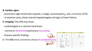 B. Cardiac signs:
- prominent right ventricular impulse, a single, accentuated S2, and a murmur of TR.
- In extreme cases, there may be hepatomegaly and signs of heart failure.
C. Imaging: The CXR may show
- cardiomegaly or a normal-sized heart,
- normal or diminished pulmonary vascularity.
- Disease specific findings.
D. The ECG most commonly shows RV predominance.
 