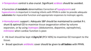 Temperature control is also crucial. Significant acidosis should be avoided.
Correction of metabolic abnormalities: Correction of hypoglycemia and
hypocalcemia is important in treating infants with PPHN in order to provide adequate
substrates for myocardial function and appropriate responses to inotropic agents.
Hemodynamic support : Adequate SBP should be maintained to combat R-L
shunt & optimal CO to maximize tissue oxygenation either by volume
expansion, or by using inotropes (dobutamine, dopamine, epinephrine),
milrinone when cardiac function is poor.
 Hb level should be kept >13gm/dl (PCV 40%) to maximize O2 transport to the
tissue.
 Broad spectrum antibiotic cover should be given to all babies with PPHN.
 