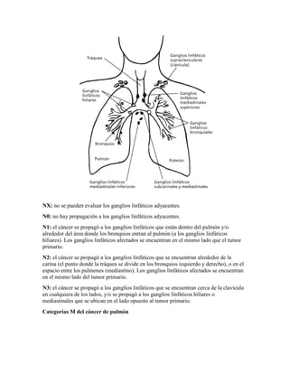 NX: no se pueden evaluar los ganglios linfáticos adyacentes.
N0: no hay propagación a los ganglios linfáticos adyacentes.
N1: el cáncer se propagó a los ganglios linfáticos que están dentro del pulmón y/o
alrededor del área donde los bronquios entran al pulmón (a los ganglios linfáticos
hiliares). Los ganglios linfáticos afectados se encuentran en el mismo lado que el tumor
primario.
N2: el cáncer se propagó a los ganglios linfáticos que se encuentran alrededor de la
carina (el punto donde la tráquea se divide en los bronquios izquierdo y derecho), o en el
espacio entre los pulmones (mediastino). Los ganglios linfáticos afectados se encuentran
en el mismo lado del tumor primario.
N3: el cáncer se propagó a los ganglios linfáticos que se encuentran cerca de la clavícula
en cualquiera de los lados, y/o se propagó a los ganglios linfáticos hiliares o
mediastinales que se ubican en el lado opuesto al tumor primario.
Categorías M del cáncer de pulmón
 