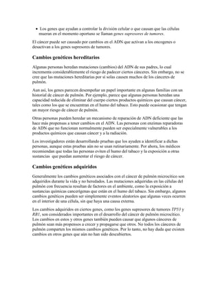 • Los genes que ayudan a controlar la división celular o que causan que las células
mueran en el momento oportuno se llaman genes supresores de tumores.
El cáncer puede ser causado por cambios en el ADN que activan a los oncogenes o
desactivan a los genes supresores de tumores.
Cambios genéticos hereditarios
Algunas personas heredan mutaciones (cambios) del ADN de sus padres, lo cual
incrementa considerablemente el riesgo de padecer ciertos cánceres. Sin embargo, no se
cree que las mutaciones hereditarias por sí solas causen muchos de los cánceres de
pulmón.
Aun así, los genes parecen desempeñar un papel importante en algunas familias con un
historial de cáncer de pulmón. Por ejemplo, parece que algunas personas heredan una
capacidad reducida de eliminar del cuerpo ciertos productos químicos que causan cáncer,
tales como los que se encuentran en el humo del tabaco. Esto puede ocasionar que tengan
un mayor riesgo de cáncer de pulmón.
Otras personas pueden heredar un mecanismo de reparación de ADN deficiente que las
hace más propensas a tener cambios en el ADN. Las personas con enzimas reparadoras
de ADN que no funcionan normalmente pueden ser especialmente vulnerables a los
productos químicos que causan cáncer y a la radiación.
Los investigadores están desarrollando pruebas que los ayuden a identificar a dichas
personas, aunque estas pruebas aún no se usan rutinariamente. Por ahora, los médicos
recomiendan que todas las personas eviten el humo del tabaco y la exposición a otras
sustancias que puedan aumentar el riesgo de cáncer.
Cambios genéticos adquiridos
Generalmente los cambios genéticos asociados con el cáncer de pulmón microcítico son
adquiridos durante la vida y no heredados. Las mutaciones adquiridas en las células del
pulmón con frecuencia resultan de factores en el ambiente, como la exposición a
sustancias químicas cancerígenas que están en el humo del tabaco. Sin embargo, algunos
cambios genéticos pueden ser simplemente eventos aleatorios que algunas veces ocurren
en el interior de una célula, sin que haya una causa externa.
Los cambios adquiridos en ciertos genes, como los genes supresores de tumores TP53 y
RB1, son considerados importantes en el desarrollo del cáncer de pulmón microcítico.
Los cambios en estos y otros genes también pueden causar que algunos cánceres de
pulmón sean más propensos a crecer y propagarse que otros. No todos los cánceres de
pulmón comparten los mismos cambios genéticos. Por lo tanto, no hay duda que existen
cambios en otros genes que aún no han sido descubiertos.
 
