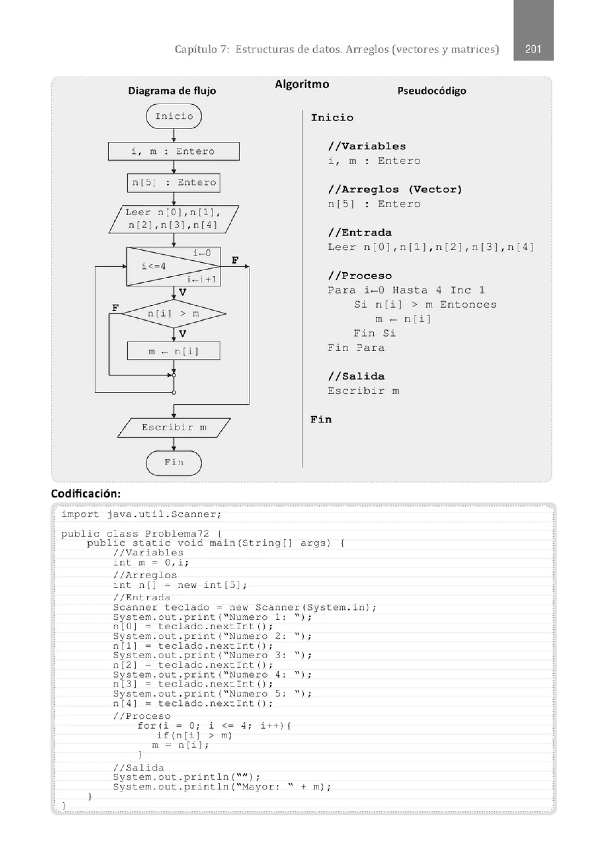 Capítulo 7: Estructuras de datos. Arreglos (vectores y matrices)
Diagrama de flujo
( Inicio l
¡
i , m : Entero
¡
n[S J . Entero
.
!
~ Leer n[ O) , n [l) , ~
n[2 J,n [3 J,n[4)
¡
i - 0
i<-4
F
i-i+l
J.V
F
n [i J > m
¡v
m - n [i)
¡
1 Escribir m
1
!
( Fin
Codificación:
Algoritmo
Pseudocódigo
Inicio
//Variables
i , m : Entero
//Arreglos (Vector)
n[5) : Entero
//Entrada
Leer n[OJ,n[l),n[2 ) , n[3J,n[4)
//Proceso
Para i-0 Hasta 4 Inc 1
Si n[i) >m Entonces
m- n[i)
Fin Si
Fin Para
//Salida
Escribir m
Fin
........................................................................................................................................................................................................... ...
' i mport java . util . Scanner;
public class Problema72 {
public static void main{String [ ) args ) {
//Variabl es
}
int m= O, i ;
//Arreglos
int n[) = new int [S) ;
//Entrad a
Scanner teclado= new Scanner{System. in) ;
System . out . print( • Numero 1 : '' ) ;
n [ O] = teclado . nextlnt{) ;
System . out . print (• Numero 2 : • 1;
n ( l) = teclado . nextlnt{l ;
System . out . print (• Numero 3 : • ) ;
n [2) = teclado . nextlnt{) ;
System . out . print (• Nume r o 4 : • ) ;
n [ 3 J = t eclado . nextlnt{l ;
System . out . print{ • Numero 5 : • 1 ;
n [ 4) = t eclado . nextlnt{) ;
//Proceso
for{i = O; i <= 4 ; i ++ ) {
if {n[i) > m)
m=n [i ) ;
}
1/Salida
System . out . print l n( •• J ;
System . out . print l n( • Mayor : • +m) ;
...l..........................................................................................................................................................................................................
 