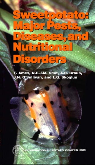 Sweetpotato:
                     Major Pests,
                     Diseases, and
                     Nutritional
                     Disorders
                     T. Ames, N.E.J.M. Smit, A.R. Braun,
                     J.N. O’Sullivan, and L.G. Skoglund




ISBN 92-9060-187-6
 