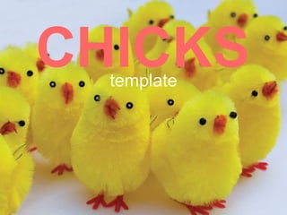 CHICKS template 