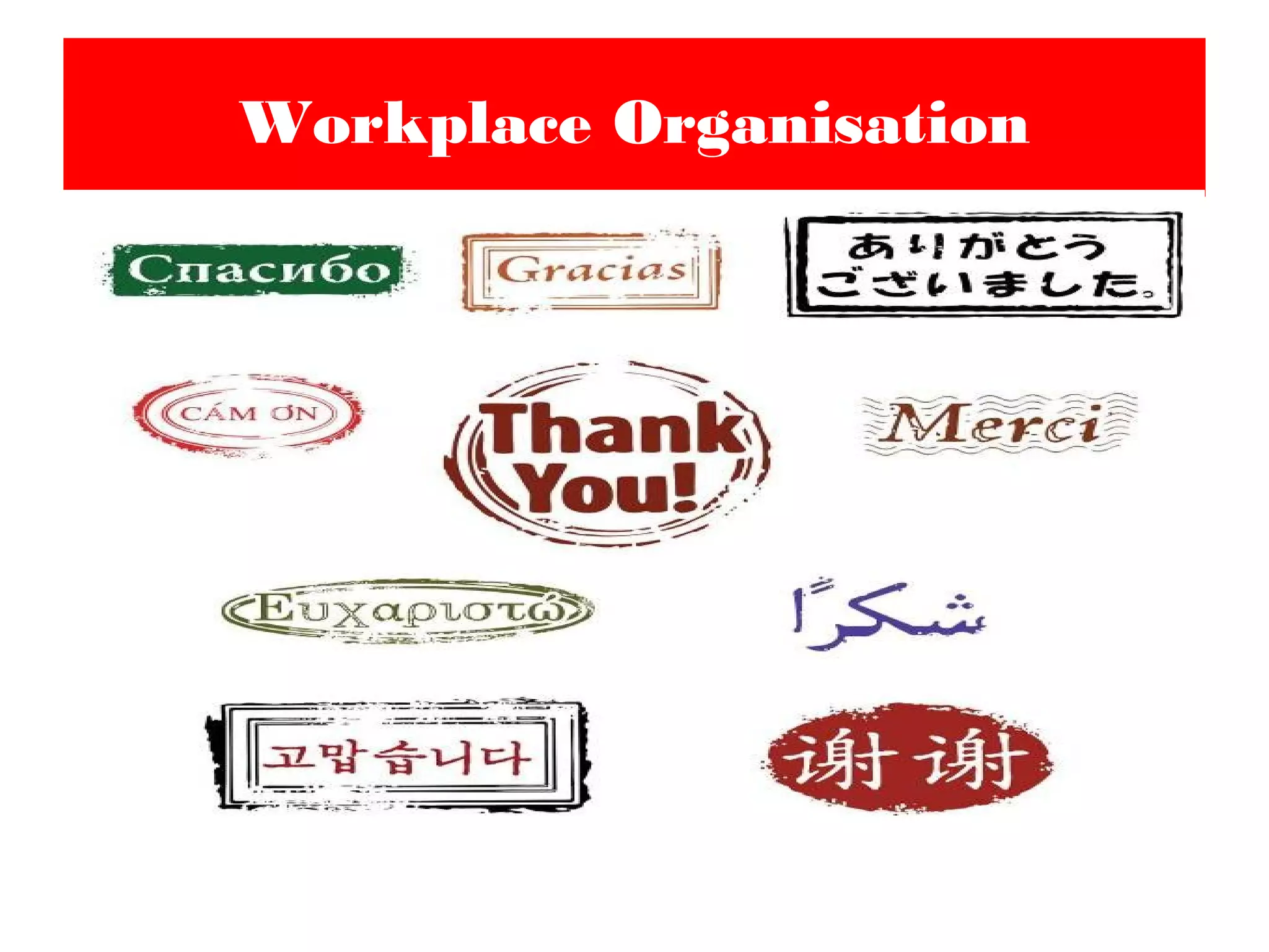 Workplace Organisation
 