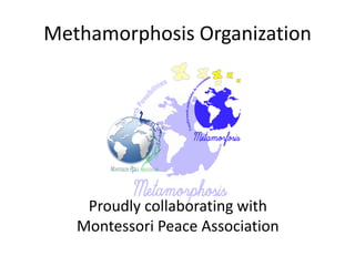 Methamorphosis Organization
Proudly collaborating with
Montessori Peace Association
 