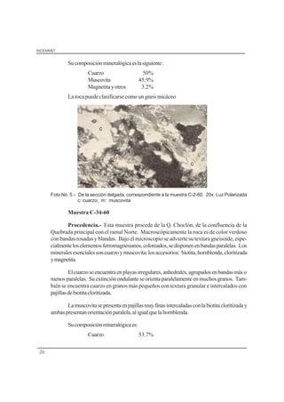 INGEMMET
26
Sucomposiciónmineralógicaeslasiguiente:
Cuarzo 50%
Muscovita 45.9%
Magnetitayotros 3.2%
La roca puede clasificarse como un gneis micáceo
Foto No. 5.- De la sección delgada, correspondiente a la muestra C-2-60. 20x. Luz Polarizada
c: cuarzo; m: muscovita
Muestra C-34-60
Procedencia.- Esta muestra procede de la Q. Choclón, de la confluencia de la
Quebrada principal con el ramal Norte. Macroscópicamente la roca es de color verdoso
con bandas rosadas y blandas. Bajo el microscopio se advierte su textura gneisoide, espe-
cialmenteloselementosferromagnesianos,coloreados,sedisponenenbandasparalelas. Los
mineralesesencialessoncuarzoymuscovita;losaccesorios: biotita,hornblenda,cloritizada
ymagnetita.
Elcuarzoseencuentraenplayasirregulares,anhedrales,agrupadosenbandasmáso
menos paralelas. Su extinción ondulante se orienta paralelamente en muchos granos. Tam-
bién se encuentra cuarzo en granos más pequeños con textura granular e intercalados con
pajillasdebiotitacloritizada.
Lamuscovitasepresentaenpajillasmuyfinasintercaladasconlabiotitacloritizaday
ambaspresentanorientaciónparalela,aligualquelahornblenda.
Sucomposiciónmineralógicaes:
Cuarzo 53.7%
 
