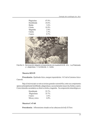Geología del cuadrángulo de Atico
29
Plagioclasa 47.8%
Hornblenda 24.6%
Biotita 3.6%
Clorita 18.9%
Magnetita 2.9%
Calcita 1.5%
Cuarzo 0.7%
Foto No. 6.- De la sección delgada correspondiente a la muestra B-9-59. 20 x. Luz Polarizada.
p: plagioclasa; h: hornblenda; b: biotita
Muestra B29-59
Procedencia.- Quebrada Atico, margen izquierda km. 14.5 de la Carretera Atico-
Caravelí.
Bajoelmicroscopiosenotasutexturagranularxenomórfica;entresuscomponentes
apareceprincipalmentehornblendayplagioclasasyaccesoriamentemuscovita,biotitaycuarzo.
Comomineralessecundariosseobservacloritaymagnetita. Sucomposiciónmineralógicaes:
Hornblenda 55.7%
Plagioclasas 35.7%
Cuarzo 2.6%
Micas y otros 6.0%
Muestra C-47-60
Procedencia: Afloramiento situado en las cabeceras de la Q. El Toro
 