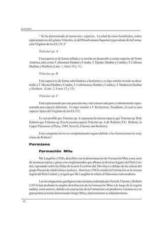 INGEMMET
40
“ Se ha determinado al menos tres especies. La edad de estos fusulínidos, todos
representativosdelgéneroTriticites,esdelPensilvanianoSuperior(equivalentedelaForma-
ciónVirgiliandelosEE.UU.)”
Triticites sp. A
EstaespecieesdeformainfladayessimilarendesarrolloaciertasespeciesdeNorte
América,talescomoT.plummeriDunbaryCondra,T.Deedei DunbaryCondrayT.Callosus
Dunbar y Henbest (Lám. 1, fotos 10 y 11).
Triticites sp. B
Esta especie es de forma subcilíndrica a fusiforme y es algo similar en todo su desa-
rrolloaT.MooreiDunbaryCondra,T.CullomensisDunbaryCondrayT.MediocrisDunbar
y Henbest. (Lám. 2, Fotos 12 y 13)
Triticites sp. C
Está representado por una porción muy mal conservada pero evidentemente repre-
sentada una especie diferente. Es algo similar a T. Kellyensis, Needham, el cual es una
especie típicadelVirgiliandelosEE.UU.
EscasiposiblequeTriticitessp.ArepresentalamismaespeciequeTriticitessp.Bde
RobertsqueTriticitessp.BeslamismaespecieTriticitessp.Ade Roberts(T.G. Roberts,in
Upper Paleozoic of Peru, 1949, Newell, Chronic and Roberts).
Esta comparación no es completamente segura debido a las ilustraciones no muy
claras de Roberts”.
Permiano
Formación Mitu
Mc Laughlin (1924), describió con la denominación de Formación Mitu a una serie
de areniscasrojizasygrisesconconglomeradosqueafloranendiversoslugaresdelPerúCen-
tral,reposandosobrelasfilitasdelaserieExcelsiordel Devónicoydebajodelascalizasdel
grupo Pucará de edad triásico-jurásica. Harrison (1943) estudió la Formación en la misma
regióndelPerúCentral,yaligualqueMcLaughlinlarefierealPaleozoicomásmoderno.
LasinvestigacionesgeológicasmásrecientesrealizadasporNewell,ChronicyRoberts
(1953) han probado la amplia distribución de la Formación Mitu a lo largo de la región
andina; estos autores, debido a la asociación de la Formación con productos volcánicos y su
gran potencia la han denominado Grupo Mitu y determinaron su edad permiana.
 