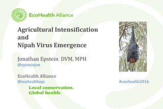 Agricultural Intensification
and
Nipah Virus Emergence
Jonathan Epstein DVM, MPH
@epsteinjon
EcoHealth Alliance
@ecohealthnyc #onehealth2016
 