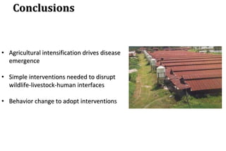 Human Intensification Agricultural intensification and Nipah virus emergence | PDF