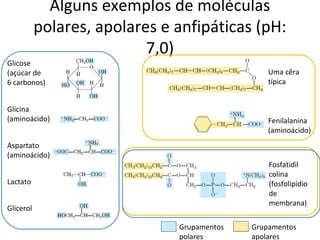 Alguns exemplos de moléculas
           polares, apolares e anfipáticas (pH:
                           7,0)
Glicose
(açúcar de                                       Uma cêra
6 carbonos)                                      típica


Glicina
(aminoácido)                                     Fenilalanina
                                                 (aminoácido)
Aspartato
(aminoácido)
                                                 Fosfatidil
                                                 colina
Lactato                                          (fosfolipídio
                                                 de
                                                 membrana)
Glicerol

                               Grupamentos   Grupamentos
                               polares       apolares
 
