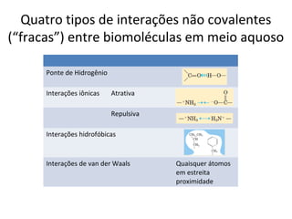 Quatro tipos de interações não covalentes
(“fracas”) entre biomoléculas em meio aquoso

      Ponte de Hidrogênio

      Interações iônicas    Atrativa

                            Repulsiva

      Interações hidrofóbicas



      Interações de van der Waals       Quaisquer átomos
                                        em estreita
                                        proximidade
 