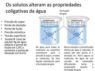 Os solutos alteram as propriedades
    coligativas da água      Formação
                             de gelo

                                evaporação                 evaporação
•   Pressão de vapor
•   Ponto de ebulição
•   Ponto de fusão
•   Pressão osmótica
•   Tensão superficial
•   1molal 1mol de
    soluto/ Kg de água
    (Abaixa o ponto de
    fusão em 1,9oC e     Na água pura todas as      Nessa solução a concentração
    aumenta o ponto de   moléculas na superfície    efetiva de água é reduzida. O
    ebulição em 0,5oC)   contribuem     para    a   soluto (de alto ponto d e
                         pressão d vapor, e todas   ebulição ex.: Na+) segura as
                         as moléculas da fase       moléculas de água de sua
                         líquida contribuem para    camada       de    solvatação,
                         a formação de gelo         dificultando     tanto       a
                                                    evaporação      quanto       a
                                                    formação de gelo
 