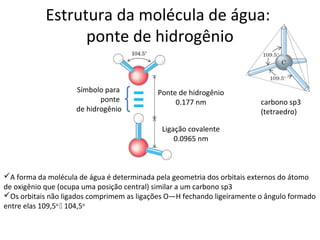 Estrutura da molécula de água:
                 ponte de hidrogênio

                    Símbolo para           Ponte de hidrogênio
                           ponte                0.177 nm                 carbono sp3
                    de hidrogênio                                        (tetraedro)

                                             Ligação covalente
                                                 0.0965 nm



A forma da molécula de água é determinada pela geometria dos orbitais externos do átomo
de oxigênio que (ocupa uma posição central) similar a um carbono sp3
Os orbitais não ligados comprimem as ligações O—H fechando ligeiramente o ângulo formado
entre elas 109,5o  104,5o
 