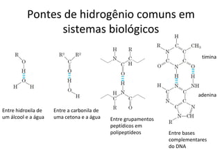 Pontes de hidrogênio comuns em
                sistemas biológicos

                                                                            timina




                                                                          adenina

Entre hidroxila de   Entre a carbonila de
um álcool e a água   uma cetona e a água    Entre grupamentos
                                            peptídicos em
                                            polipeptídeos       Entre bases
                                                                complementares
                                                                do DNA
 