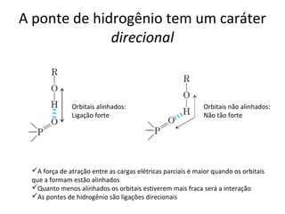 A ponte de hidrogênio tem um caráter
              direcional



              Orbitais alinhados:                           Orbitais não alinhados:
              Ligação forte                                 Não tão forte




 A força de atração entre as cargas elétricas parciais é maior quando os orbitais
 que a formam estão alinhados
 Quanto menos alinhados os orbitais estiverem mais fraca será a interação
 As pontes de hidrogênio são ligações direcionais
 