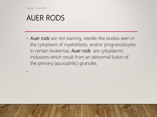 Acute Myeloid Leukemia | PPT