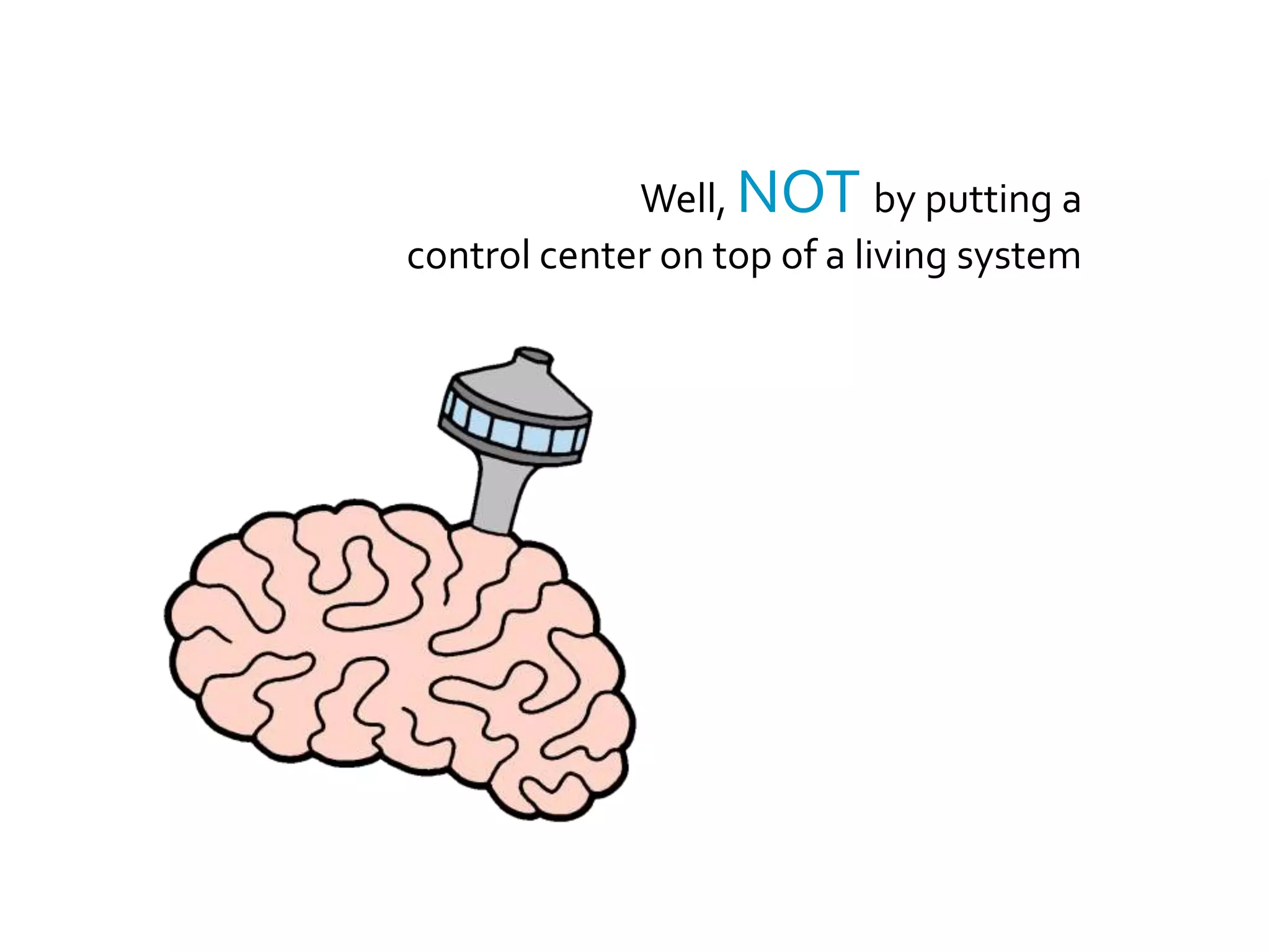 But HOWdo we growa valuable self-organizing system?