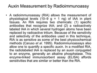 Auxin Measurement by Radioimmunoassy
• A radioimmunoassay (RIA) allows the measurement of
physiological levels (10–9 g = 1 ng) of IAA in plant
tissues. An RIA requires two chemicals: (1) specific
antibodies that recognize IAA; and (2) a radioactively
labeled IAA in which several hydrogen atoms have been
replaced by radioactive tritium. Because of the sensitivity
and selectivity of the antibodies used in this technique,
RIA is as sensitive as some of the best physicochemical
methods (Caruso et al. 1995). Radioimmunoassays also
allow one to quantify a specific auxin. In a modified RIA,
the radiolabeled IAA is replaced by an auxin conjugated
to an enzyme, generally an alkaline phosphatase. This
enzyme-linked immunosorbent assay (ELISA) affords
sensitivities that are similar or better than the RIA.
 