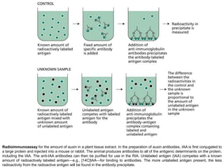 Radioimmunoassay for the amount of auxin in a plant tissue extract. In the preparation of auxin antibodies, IAA is first conjugated to
a large protein and injected into a mouse or rabbit. The animal produces antibodies to all of the antigenic determinants on the protein,
including the IAA. The anti-IAA antibodies can then be purified for use in the RIA. Unlabeled antigen (IAA) competes with a known
amount of radioactively labeled antigen—e.g., [14C]IAA—for binding to antibodies. The more unlabeled antigen present, the less
radioactivity from the radioactive antigen will be found in the antibody precipitate.
 