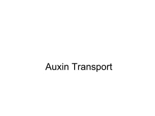Auxin Transport
 