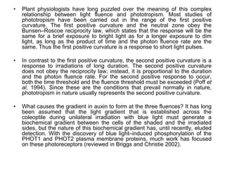• Plant physiologists have long puzzled over the meaning of this complex
relationship between light fluence and phototropism. Most studies of
phototropism have been carried out in the range of the first positive
curvature. The first positive curvature and the neutral zone obey the
Bunsen–Roscoe reciprocity law, which states that the response will be the
same for a brief exposure to bright light as for a longer exposure to dim
light, as long as the product of time and the photon fluence rate are the
same. Thus the first positive curvature is a response to short light pulses.
• In contrast to the first positive curvature, the second positive curvature is a
response to irradiations of long duration. The second positive curvature
does not obey the reciprocity law; instead, it is proportional to the duration
and the photon fluence rate. For the second positive response to occur,
both the time threshold and the fluence threshold must be exceeded (Poff et
al. 1994). Since these are the conditions that prevail normally in nature,
phototropism in nature usually represents the second positive curvature.
• What causes the gradient in auxin to form at the three fluences? It has long
been assumed that the light gradient that is established across the
coleoptile during unilateral irradiation with blue light must generate a
biochemical gradient between the cells of the shaded and the irradiated
sides, but the nature of this biochemical gradient has, until recently, eluded
detection. With the discovery of blue light–induced phosphorylation of the
PHOT1 and PHOT2 plasma membrane proteins, much work has focused
on these photoreceptors (reviewed in Briggs and Christie 2002).
 