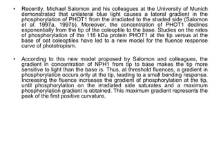 • Recently, Michael Salomon and his colleagues at the University of Munich
demonstrated that unilateral blue light causes a lateral gradient in the
phosphorylation of PHOT1 from the irradiated to the shaded side (Salomon
et al. 1997a, 1997b). Moreover, the concentration of PHOT1 declines
exponentially from the tip of the coleoptile to the base. Studies on the rates
of phosphorylation of the 116 kDa protein PHOT1 at the tip versus at the
base of oat coleoptiles have led to a new model for the fluence response
curve of phototropism.
• According to this new model proposed by Salomon and colleagues, the
gradient in concentration of NPH1 from tip to base makes the tip more
sensitive to light than the base is. Thus, at threshold fluences, a gradient in
phosphorylation occurs only at the tip, leading to a small bending response.
Increasing the fluence increases the gradient of phosphorylation at the tip,
until phosphorylation on the irradiated side saturates and a maximum
phosphorylation gradient is obtained. This maximum gradient represents the
peak of the first positive curvature.
 