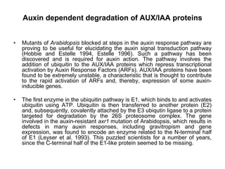 Auxin dependent degradation of AUX/IAA proteins
• Mutants of Arabidopsis blocked at steps in the auxin response pathway are
proving to be useful for elucidating the auxin signal transduction pathway
(Hobbie and Estelle 1994, Estelle 1996). Such a pathway has been
discovered and is required for auxin action. The pathway involves the
addition of ubiquitin to the AUX/IAA proteins which repress transcriptional
activation by Auxin Response Factors (ARFs). AUX/IAA proteins have been
found to be extremely unstable, a characteristic that is thought to contribute
to the rapid activation of ARFs and, thereby, expression of some auxin-
inducible genes.
• The first enzyme in the ubiquitin pathway is E1, which binds to and activates
ubiquitin using ATP. Ubiquitin is then transferred to another protein (E2)
and, subsequently, covalently attached by the E3 ubiqutin ligase to a protein
targeted for degradation by the 26S proteosome complex. The gene
involved in the auxin-resistant axr1 mutation of Arabidopsis, which results in
defects in many auxin responses, including gravitropism and gene
expression, was found to encode an enzyme related to the N-terminal half
of E1 (Leyser et al. 1993). This puzzled scientists for a number of years,
since the C-terminal half of the E1-like protein seemed to be missing.
 