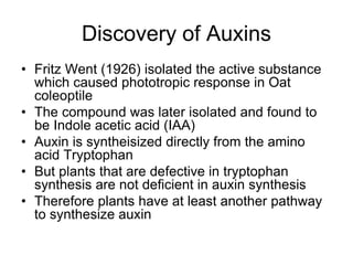 Discovery of Auxins
• Fritz Went (1926) isolated the active substance
which caused phototropic response in Oat
coleoptile
• The compound was later isolated and found to
be Indole acetic acid (IAA)
• Auxin is syntheisized directly from the amino
acid Tryptophan
• But plants that are defective in tryptophan
synthesis are not deficient in auxin synthesis
• Therefore plants have at least another pathway
to synthesize auxin
 