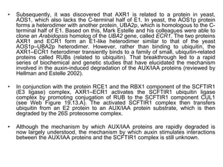 • Subsequently, it was discovered that AXR1 is related to a protein in yeast,
AOS1, which also lacks the C-terminal half of E1. In yeast, the AOS1p protein
forms a heterodimer with another protein, UBA2p, which is homologous to the C-
terminal half of E1. Based on this, Mark Estelle and his colleagues were able to
clone an Arabidopsis homolog of the UBA2 gene, called ECR1. The two proteins
AXR1 and ECR1 form an E1-like heterodimer similar to that of the yeast
AOS1p–UBA2p heterodimer. However, rather than binding to ubiquitin, the
AXR1–ECR1 heterodimer transiently binds to a family of small, ubiquitin-related
proteins called RUBs (related to ubiquitin). That breakthrough led to a rapid
series of biochemical and genetic studies that have elucidated the mechanism
involved in the auxin-induced degradation of the AUX/IAA proteins (reviewed by
Hellman and Estelle 2002).
• In conjunction with the protein RCE1 and the RBX1 component of the SCFTIR1
(E3 ligase) complex, AXR1–ECR1 activates the SCFTIR1 ubiquitin ligase
complex by promoting conjugation of RUB to the SCFTIR1 component CUL1
(see Web Figure 19.13.A). The activated SCFTIR1 complex then transfers
ubiquitin from an E2 protein to an AUX/IAA protein substrate, which is then
degraded by the 26S proteosome complex.
• Although the mechanism by which AUX/IAA proteins are rapidly degraded is
now largely understood, the mechanism by which auxin stimulates interactions
between the AUX/IAA proteins and the SCFTIR1 complex is still unknown.
 