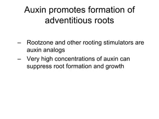 Auxin promotes formation of
adventitious roots
– Rootzone and other rooting stimulators are
auxin analogs
– Very high concentrations of auxin can
suppress root formation and growth
 