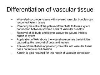 Differentiation of vascular tissue
– Wounded cucumber stems with severed vascular bundles can
reconnect xylem tissue
– Parenchyma cells of the pith re-differentiate to form a xylem
connection between severed ends of vascular bundles
– Removal of all buds and leaves above the wound inhibits
repair of xylem
– Application of IAA above the wound overcomes the inhibition
caused by the removal of buds and leaves.
– The re-differentiation of parenchyma cells into vascular tissue
does not require cell division
– Kinetin is also required for this repair of vascular connection
 