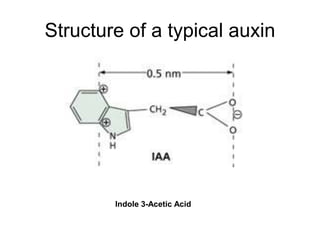 Structure of a typical auxin
Indole 3-Acetic Acid
 