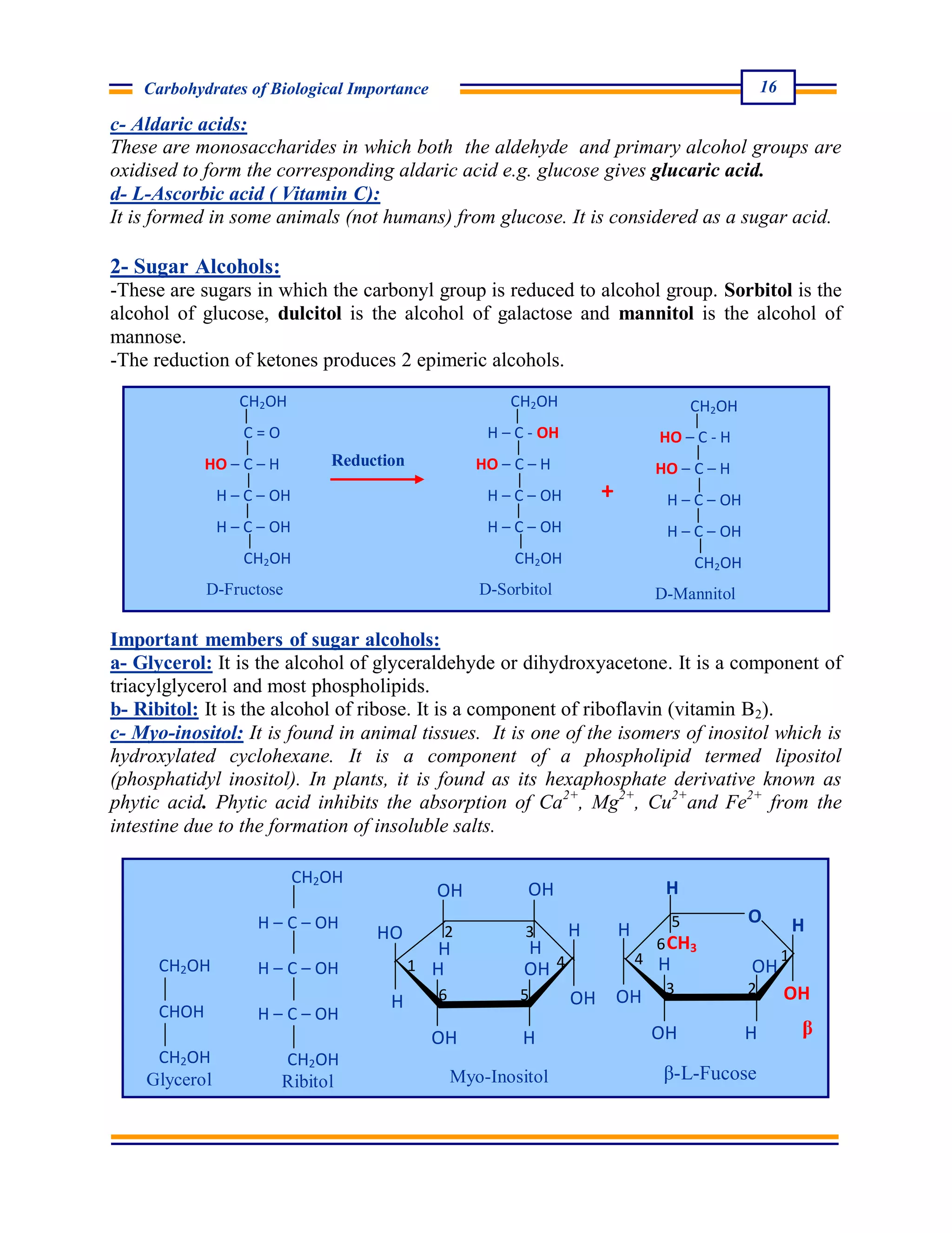 Carbohydrates notes | PDF