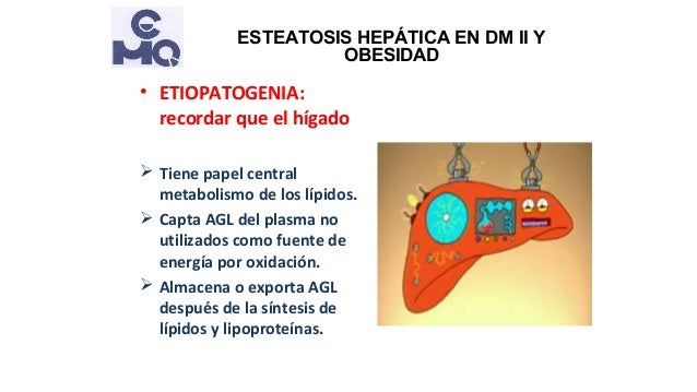 Esteatosis hepática en obesidad y diabetes tipo 2 Esteatosis hepática en obesidad y diabetes tipo 2