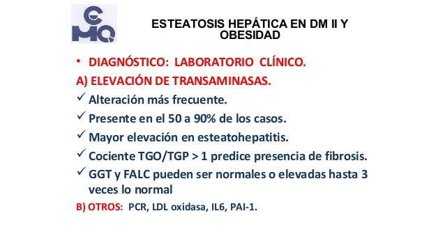 Esteatosis hepática en obesidad y diabetes tipo 2 Esteatosis hepática en obesidad y diabetes tipo 2