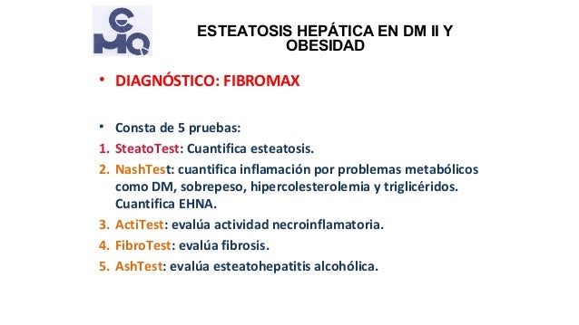 Esteatosis hepática en obesidad y diabetes tipo 2 Esteatosis hepática en obesidad y diabetes tipo 2